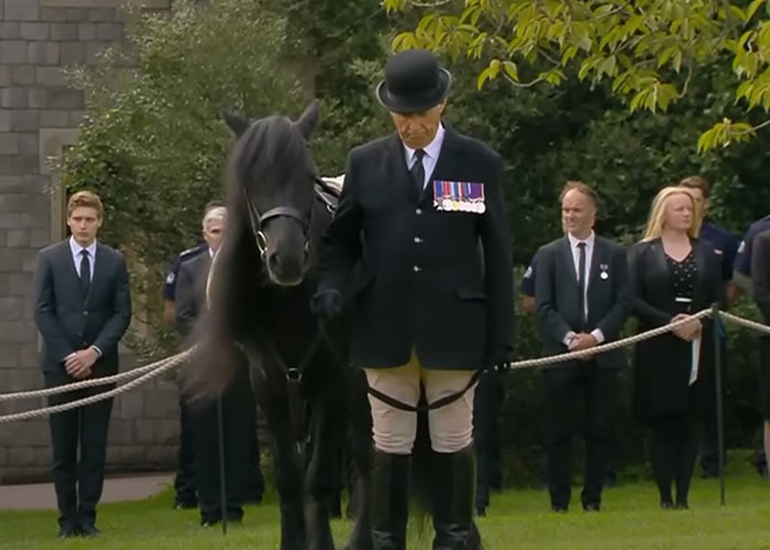 Royal Corgis and Queen Elizabeth II's favorite ponies attend her funeral procession