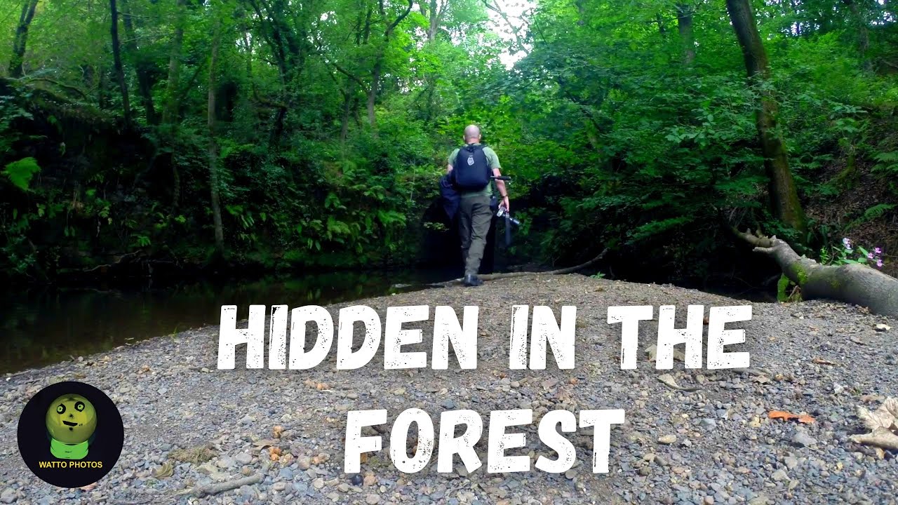 Secret Waterfall And Mill Ruins