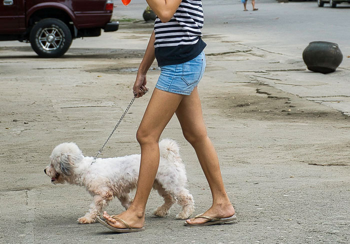 Woman Refuses To Let Down A Client Who Booked A Year In Advance Just So Parents Can Go On A Dog-Free Trip, Gets Called A Jerk Woman Refuses To Let Down A Client Who Booked A Year In Advance Just So Parents Can Go On A Dog-Free Trip, Gets Called A Jerk