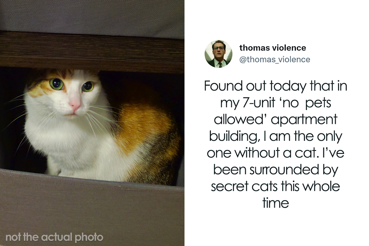 Man Finds Out Everyone In His Apartment Building Has A Cat Even Though