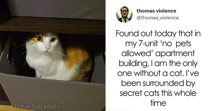 Man Finds Out Everyone In His Apartment Building Has A Cat Even Though It’s Not Allowed, People Are Sharing Their Pet Hiding Stories