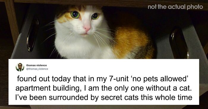Man Finds Out Everyone In His Apartment Building Has A Cat Even Though It’s Not Allowed, People Are Sharing Their Pet Hiding Stories