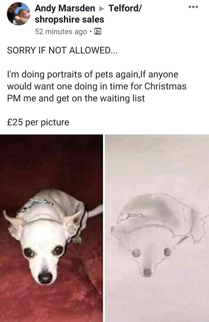 Thank Goodness Andy Is Doing His Pet Portraits In Time For Christmas