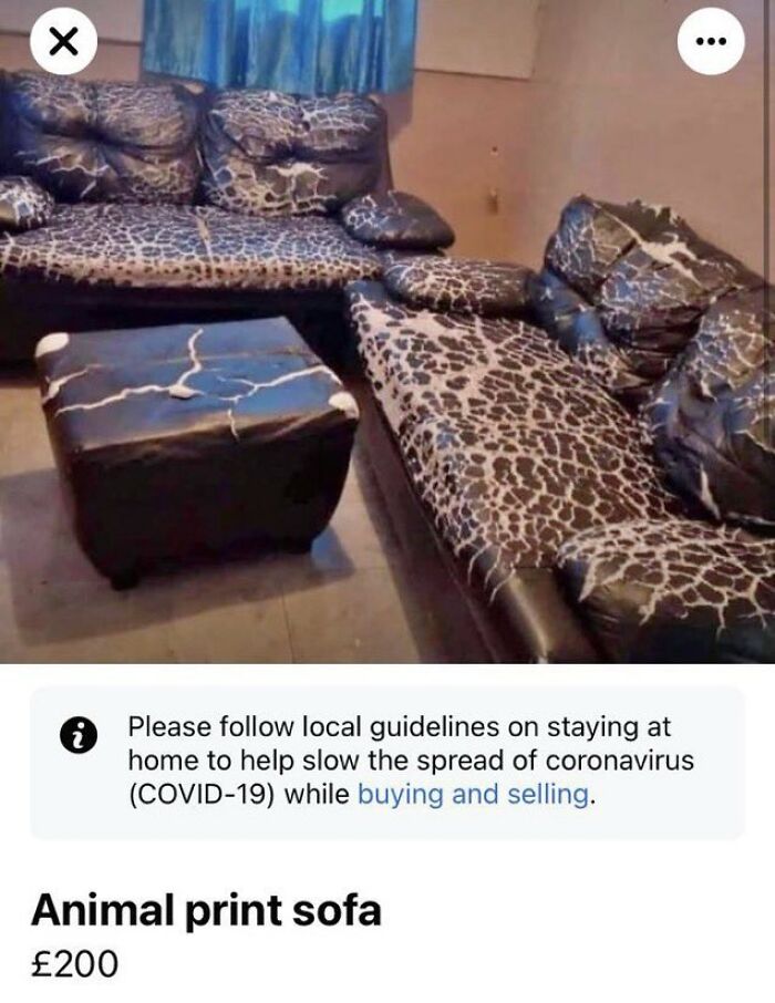 Animal Print Sofa