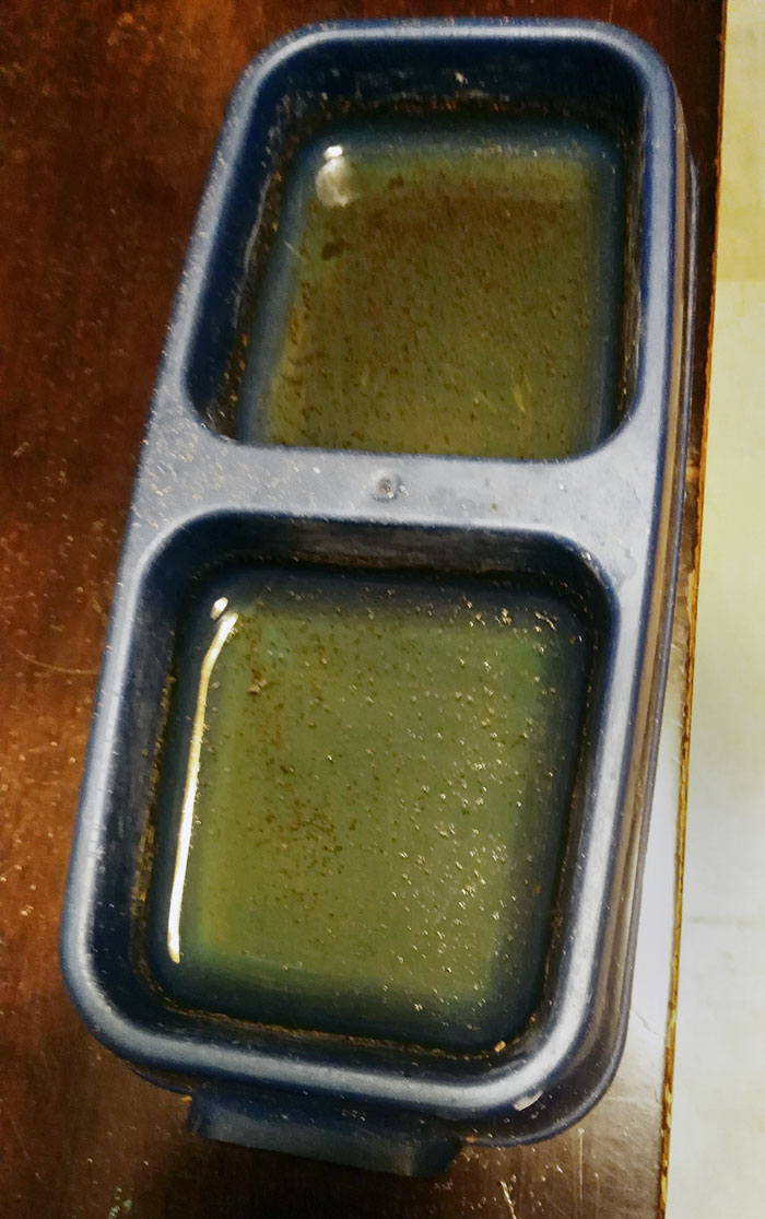 My Neighbor Asked Me To Feed His Cat While He Was Away. This Is How The Cat's Water Dish Looked Like