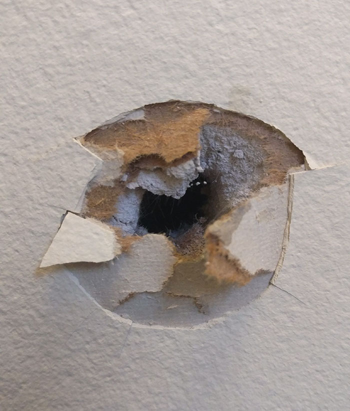 My Neighbor's Gun Went Off While He Was Cleaning It. Two Apartments Down From Mine