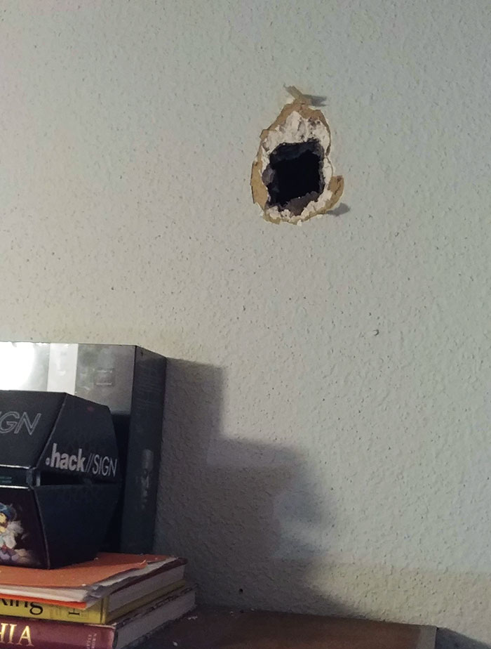 Nuestro vecino hizo un agujero en la pared de nuestro dormitorio anoche
