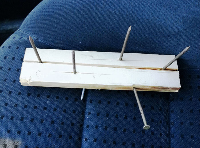 My Classy Neighbors Left Me This Gift This Morning