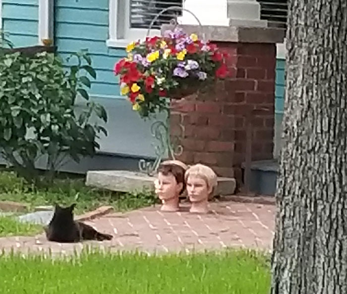 The Neighbor Has Tons Of Mannequin Heads All Over Her Lawn And Changes Them Every Week