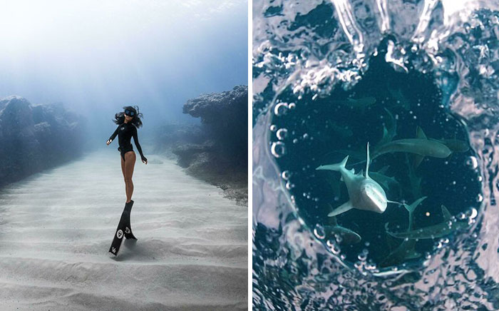 30 Fotos increíbles tomadas bajo el agua