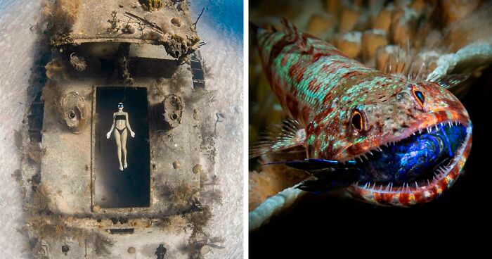 People Online Share 30 Incredible Photos That Were Taken Underneath The Water