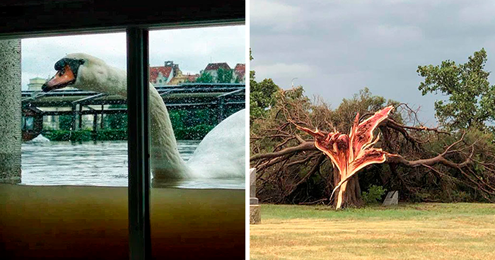 49 Terrifying, Crazy And Unlucky Pics Of Mother Nature Showing Its Wild Side