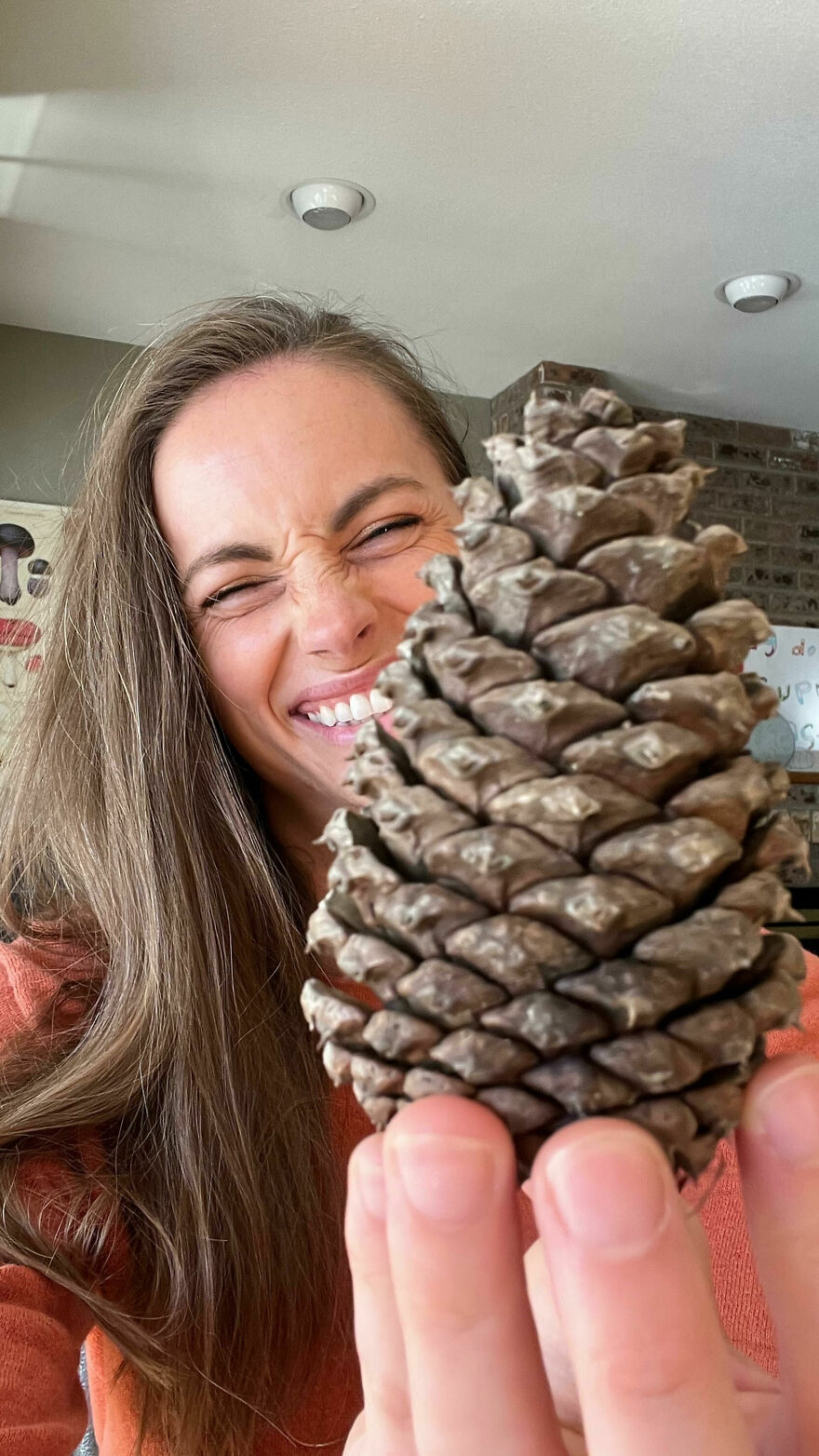 I Challenged Myself To See How Far I Could Get In Trading When Starting With A Pinecone, And Here's How It Went