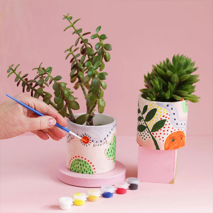Indoors Plant Pot Painting Kit