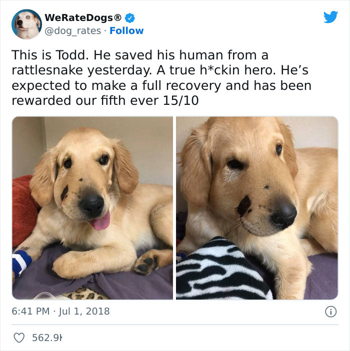 Very-Important-Positivity-Posts