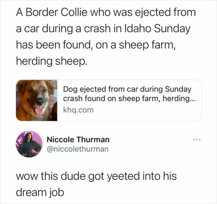 Very-Important-Positivity-Posts