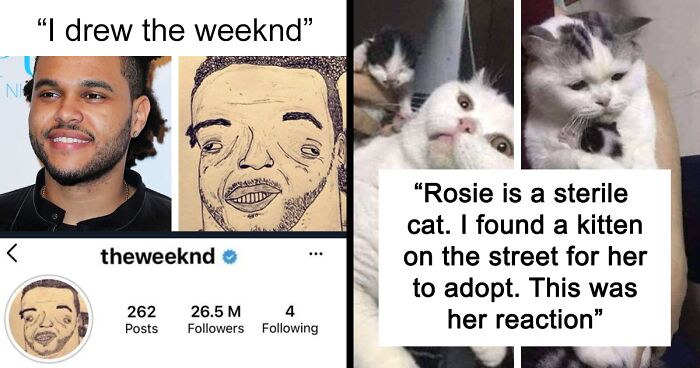 “Very Important Positivity”: If You Are Feeling Down, These 50 Wholesome Posts Might Make Your Day