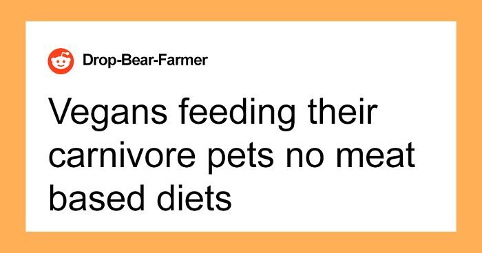 30 Vets Share The Best Pieces Of Advice They Wish All Pet Owners Knew