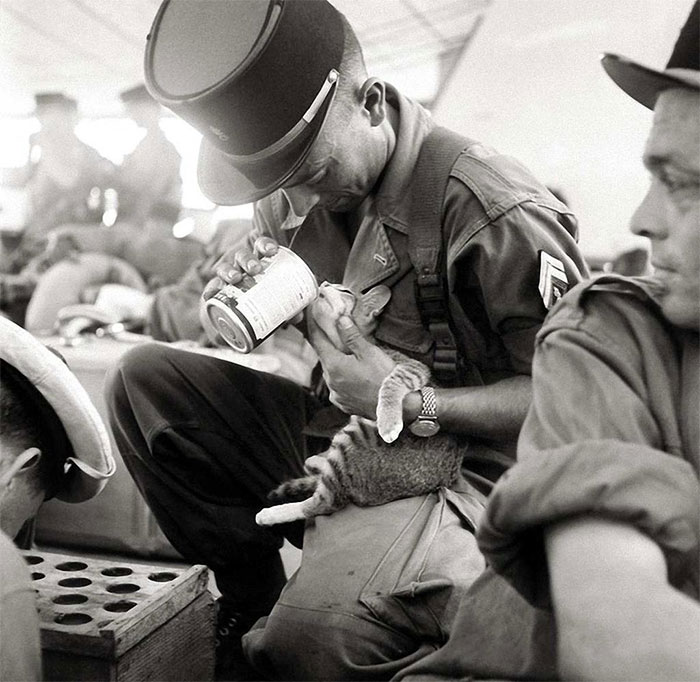 Un soldado francés alimentando a su gatito, Indochina 1956