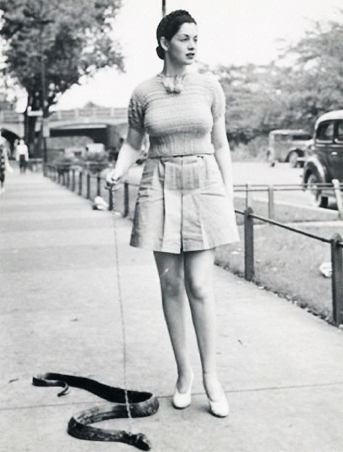 Bailarina de burlesque Miss Zorita paseando su serpiente, años 40