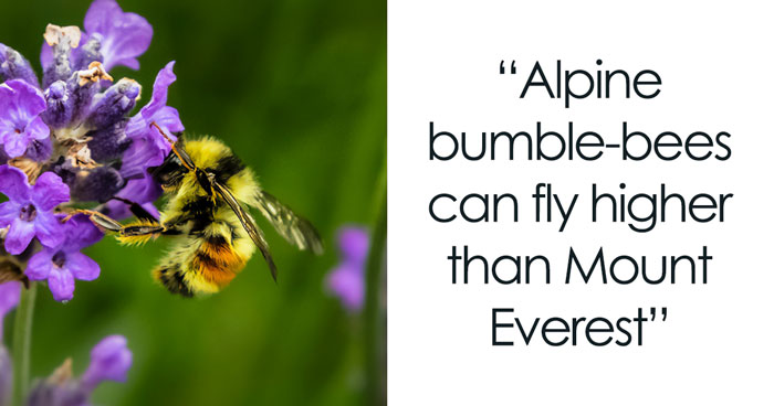 116 Weird Facts That You Just Have To Know