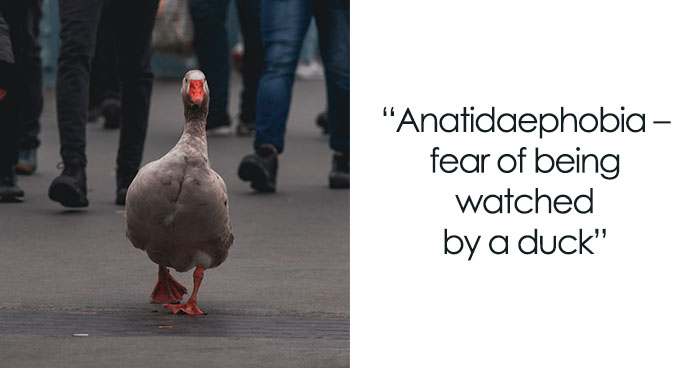 116 Weird Phobias People Can Actually Suffer From