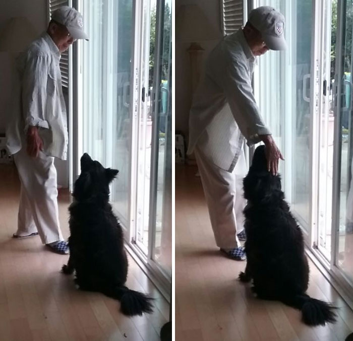 My Grandfather Is Afraid Of Dogs, And My Dog Is Afraid Of Most Humans, But They Gave Each Other A Chance And Together They Made It Work