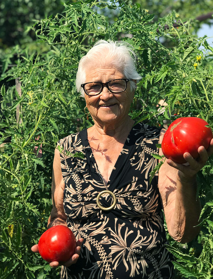 My Nonna Wanted Me To Post This Photo On The Internet So That “Everyone In Italy Can See How Big My Tomatoes Have Gotten”