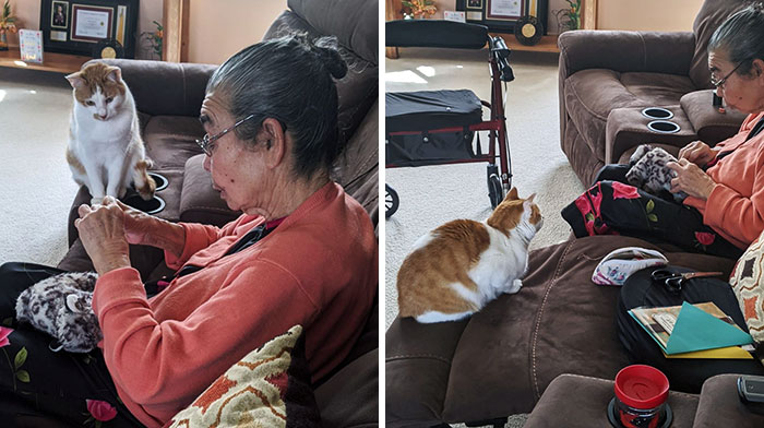 My Cat Ripped Open His Favorite Toy. This Is A Photo Of My Grandma Sewing It Back Together