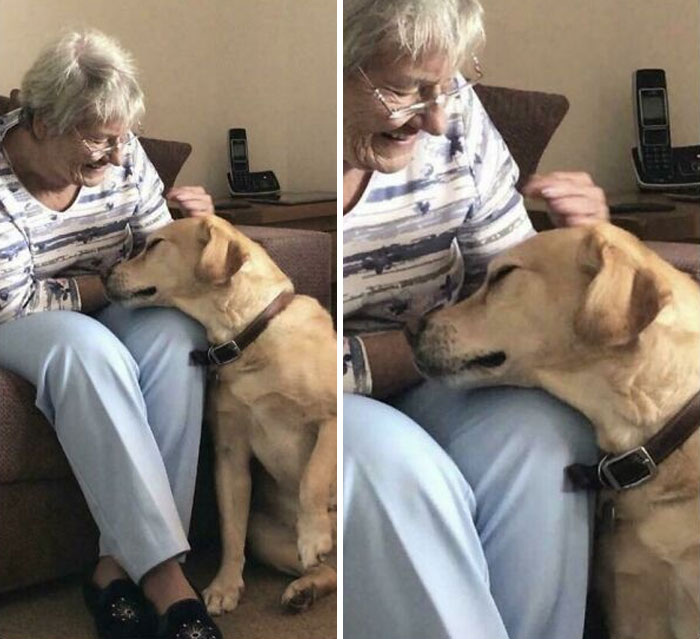 My Nan Has Dementia And Every Day She Meets My Dog For The First Time And Falls In Love With Him Over And Over Again. I Managed To Catch One Of Those Moments
