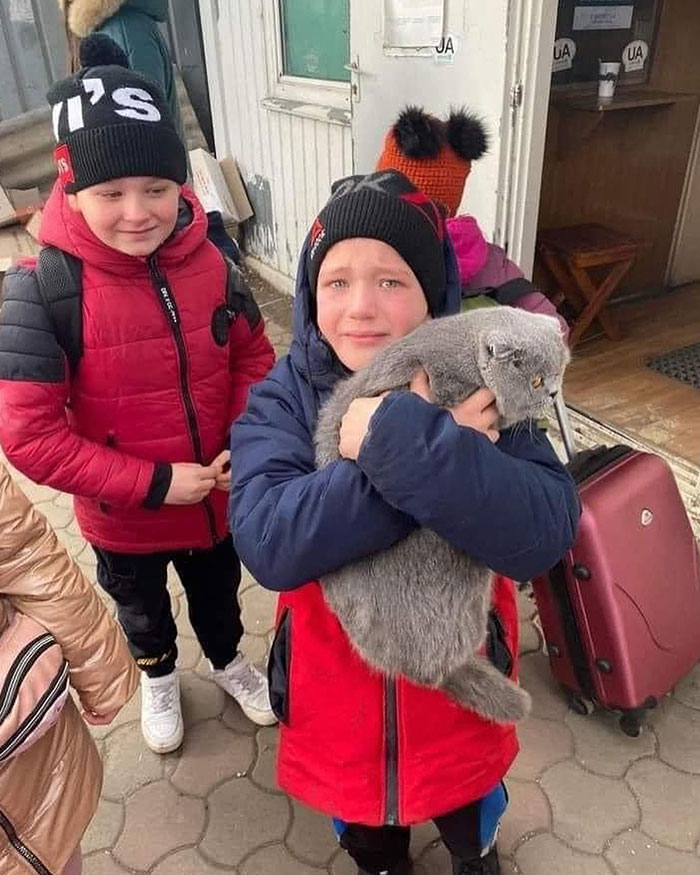 Un niño se reencuentra con su gato que había perdido al cruzar la frontera entre Polonia y Ucrania
