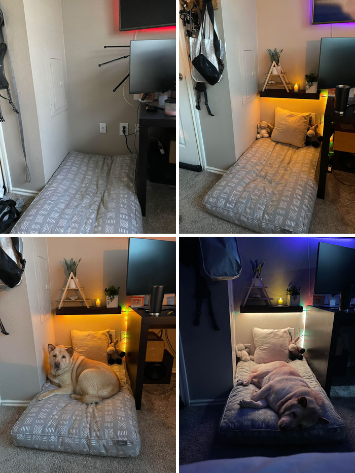 We Upgraded Our Dog's Bed Area And Gave Him His Own Cozy Corner