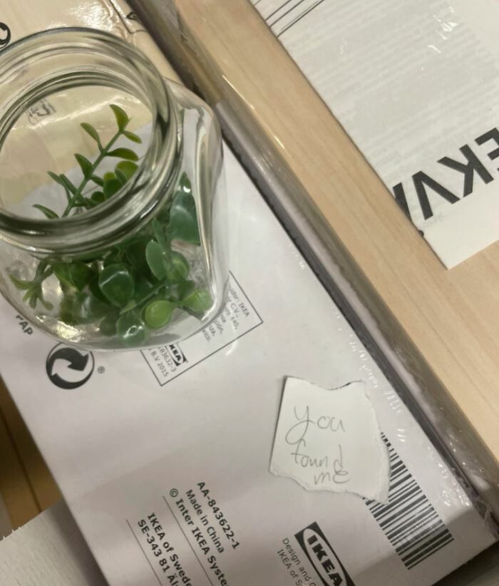 Note Found Inside Of Plant At IKEA