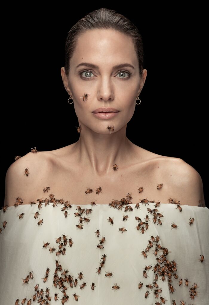 Caras y personajes fascinantes: 1er clasificado, “Angelina Jolie y las abejas número 1” por Dan Winters