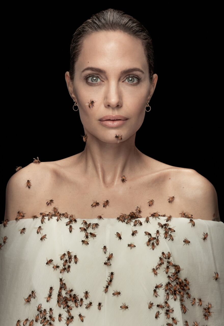 Fascinating Faces & Characters: 1st Classified, Angelina Jolie And Bees Number 1 By Dan Winters