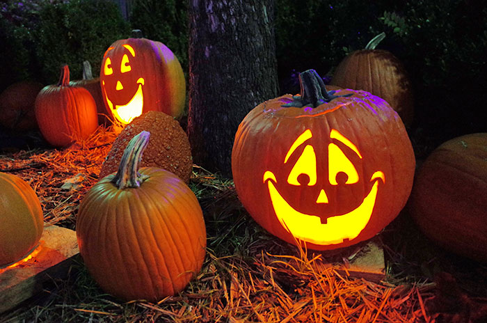 Carving Halloween Jack-O'-Lanterns