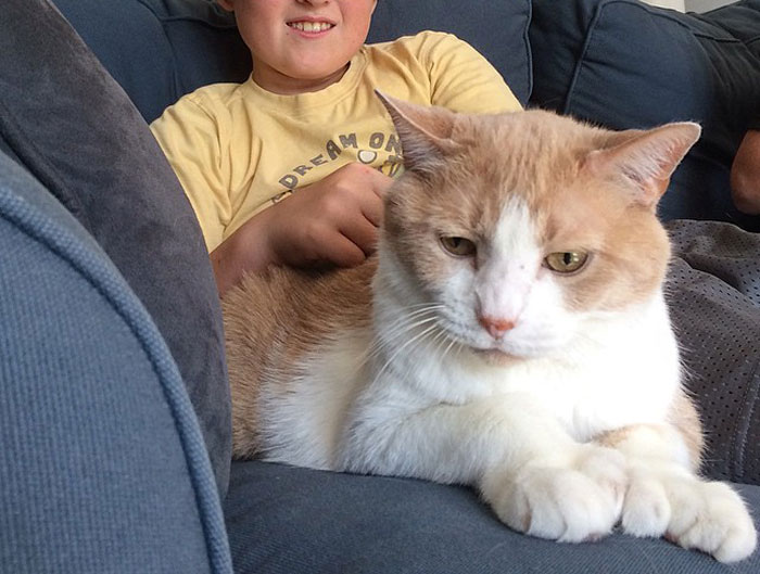 16 Y.O. Loses His Neighbor's Cat That He Was Supposed To Pet Sit, His Mom Is Upset About The Neighbors Refusing To Pay For His Work 16 Y.O. Loses His Neighbor's Cat That He Was Supposed To Pet Sit, His Mom Is Upset About The Neighbors Refusing To Pay For His Work