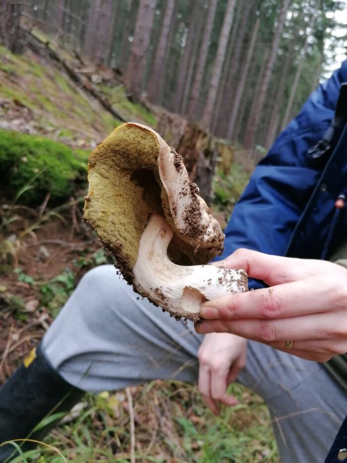 Ružomberok, Slovakia