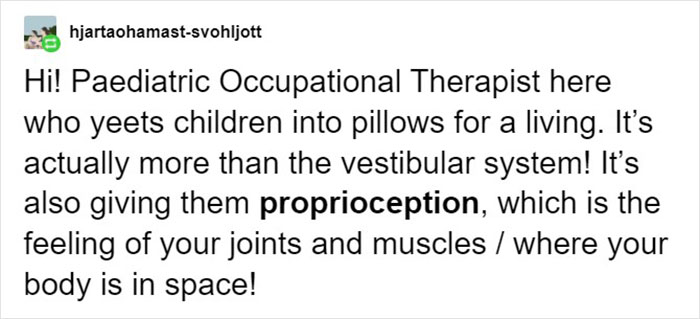 “Yeet The Child For Their Health”: Children’s Therapist Breaks Down Why It’s Important To Yeet Your Kids At Soft Things Regularly