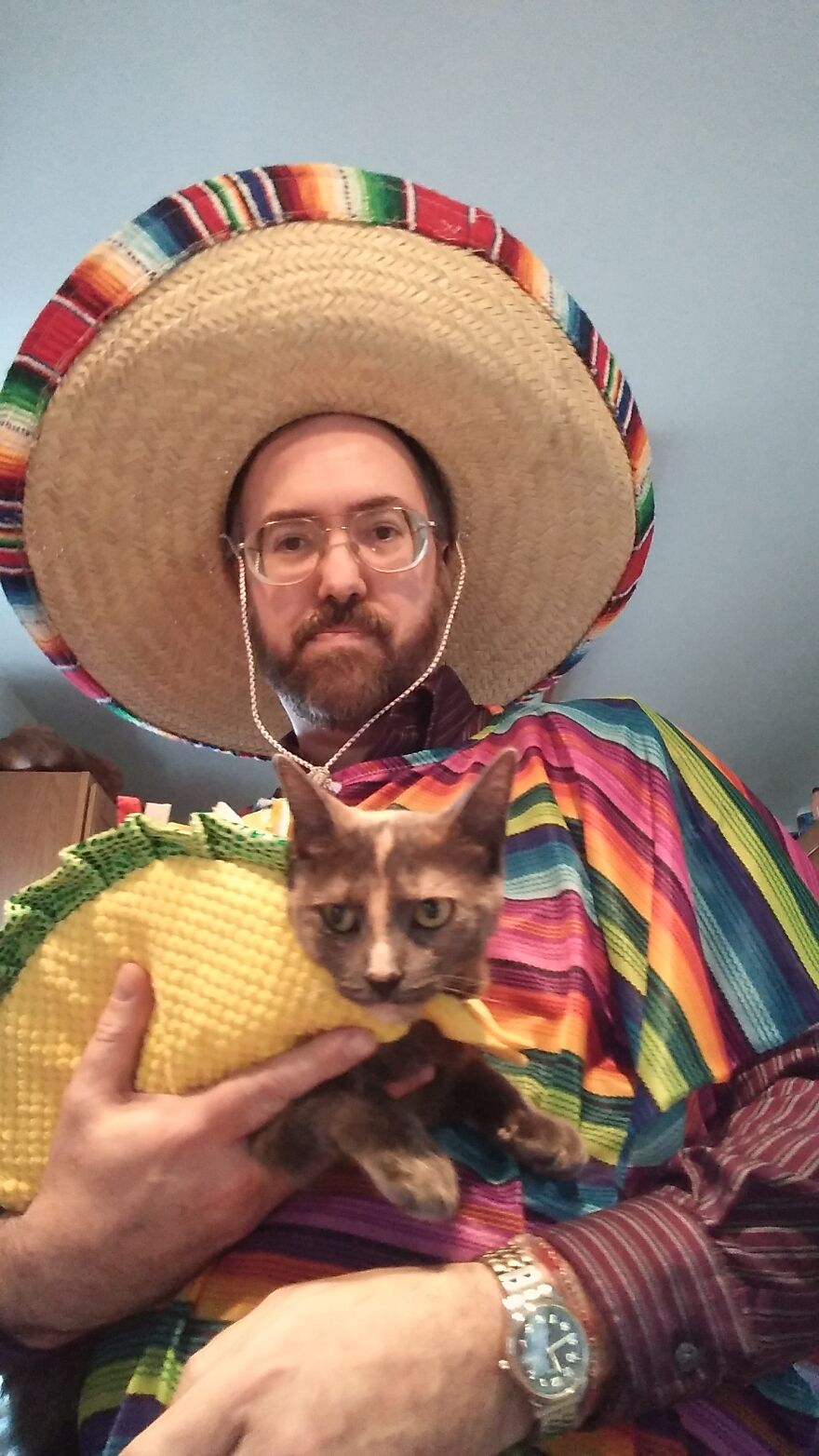 Culturally Insensitive Mexican Guy And Taco Cat!