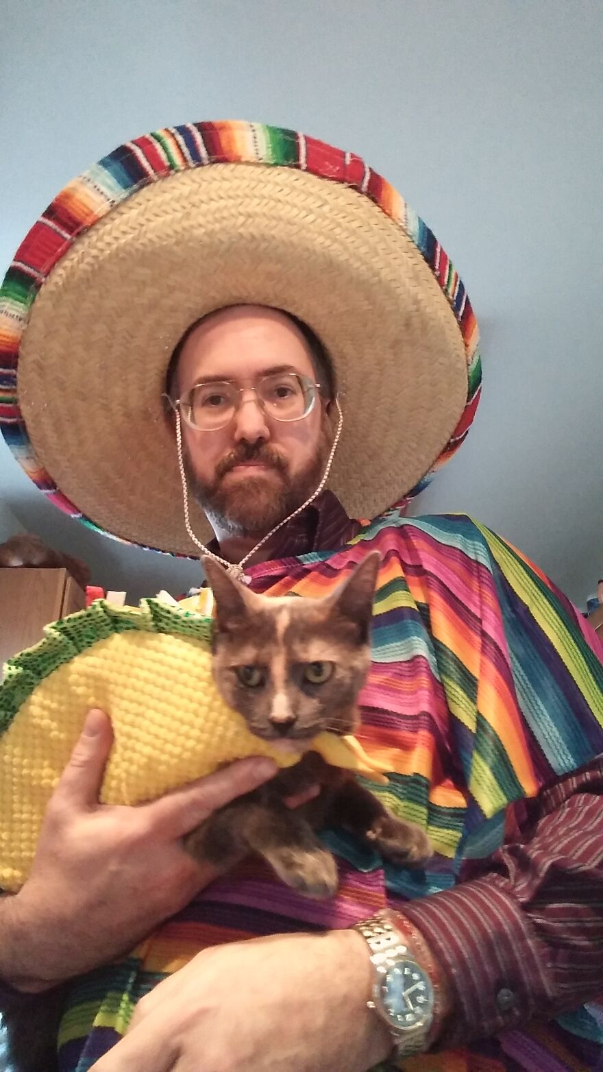 Culturally Insensitive Mexican Guy And Taco Cat! Culturally Insensitive Mexican Guy And Taco Cat!