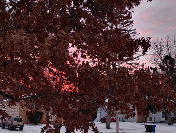Winter Sunrise. Suburban Minneapolis. Mn