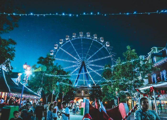 If You Could Go To A Theme Park By Yourself, What Is The First Thing You Would Do?