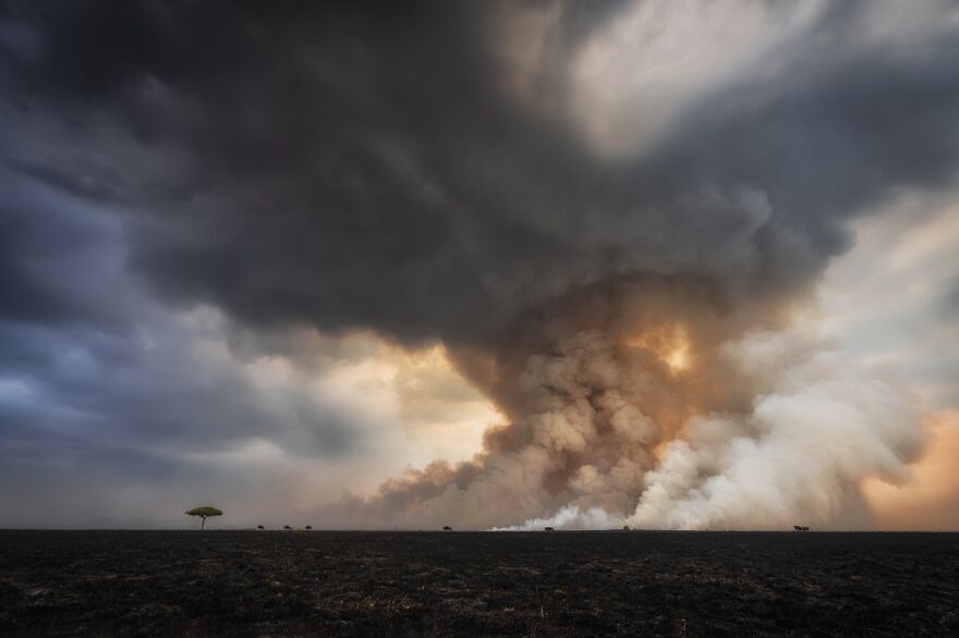 The Beauty Of Nature: 2nd Classified, Savannah Burning By Roberto Marchegiani