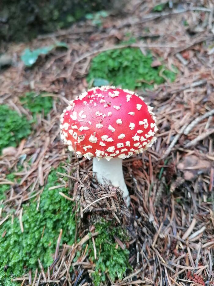 Ružomberok, Slovakia