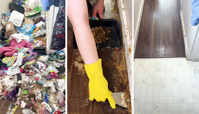 Psychology Student Deep Cleans “Unlivable” Homes To Help Their Owners’ Mental Health