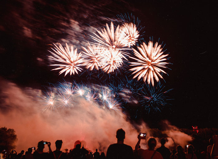 Would You Rather Watch Fireworks Or Go To A Circus Performance?