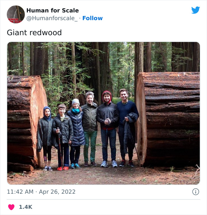 Human-For-Scale-Twitter