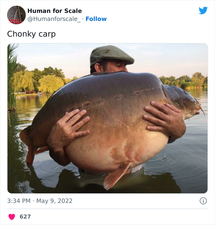 Human-For-Scale-Twitter