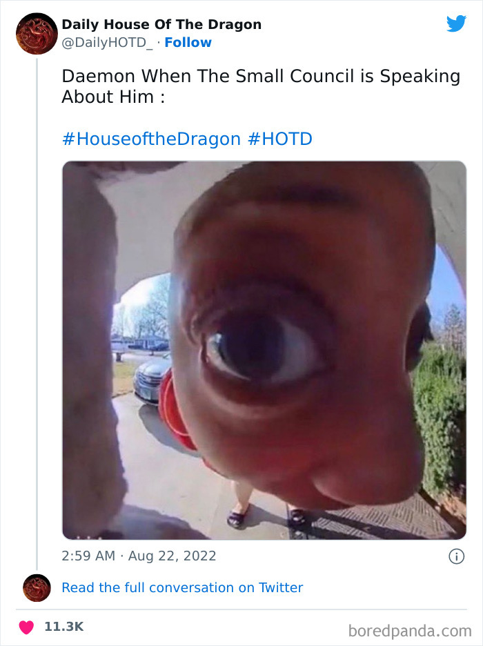 Close-up fisheye view of a curious person peeking into a door camera, humorously related to House of the Dragon.